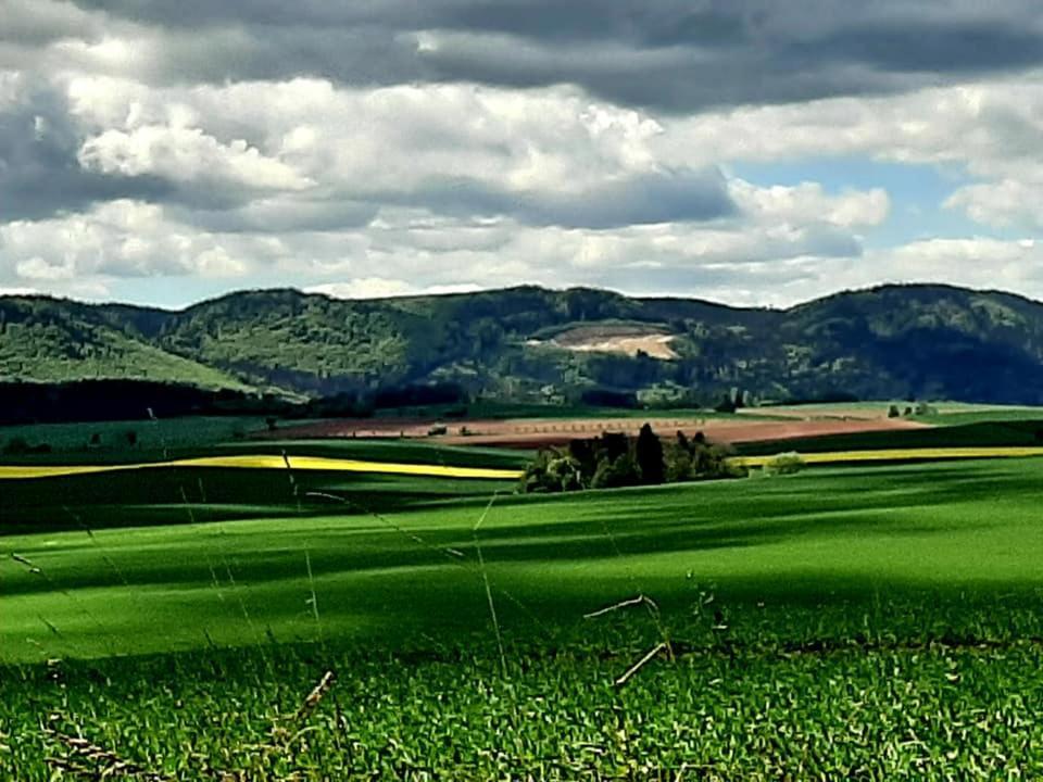 Zielona Roza Bauernhof
