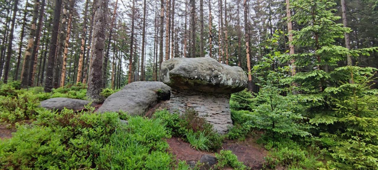 Zielona Roza